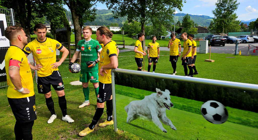 H__rbranz FUSSBALL Kampfmannschaft B Spiel gegen H__chst 31-05-2025 _1_.jpg