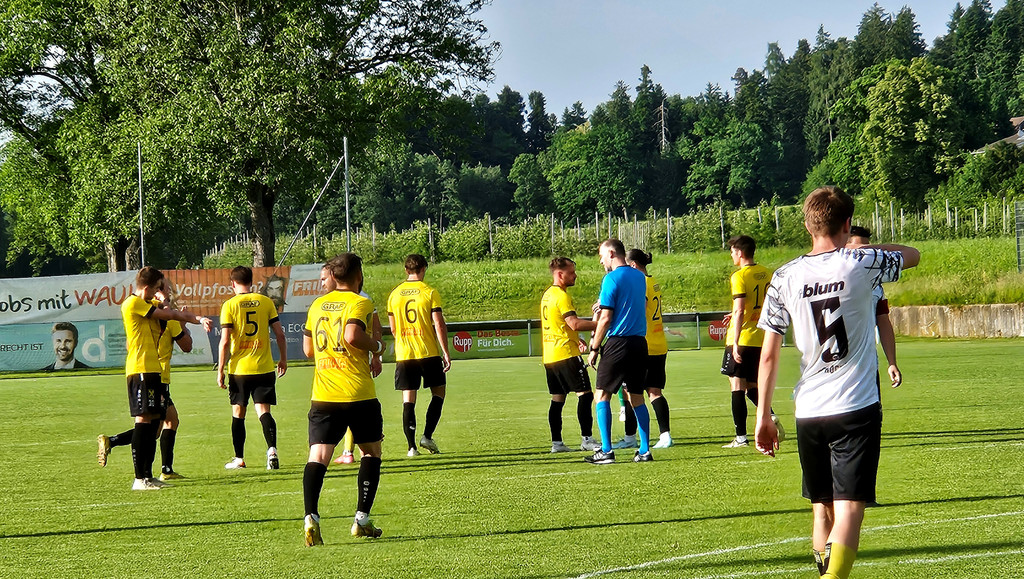H__rbranz FUSSBALL Kampfmannschaft B Spiel gegen H__chst 31-05-2025 _11_.jpg