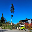 WAHLEN GV Konstituierende Sitzung G BGM-BAUM 10-04-2025 _4_.jpg