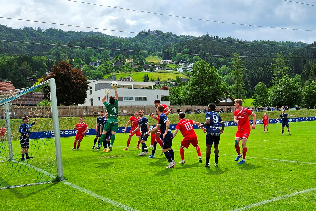 Galerie Fu__ball SVL Spiel gegen FC LUSTENAU R__ckblick 29-05-2025 _8_.jpg
