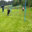 IMG-20250602-WA0009.jpg