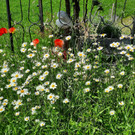 5a6a0826-6b55-467e-a4e4-c9a0c4a65d59-enhaced-art-scale-2_00x - Kopie.jpg