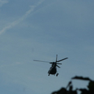 normal_310809suchekuchlgm__19_.jpg