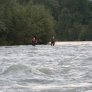 normal_310809suchekuchlgm__26_.jpg
