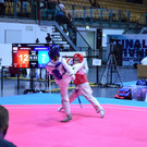 DSC_0410.jpg