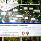 PROJEKT B Ruggbach HOCHWASSERSCHUTZ Information Bautafel November 2024 _1_.jpg