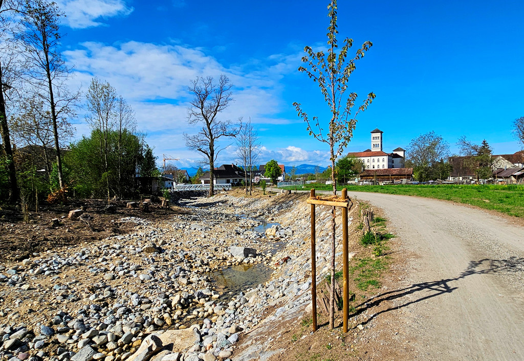 PROJEKT B Ruggbach HOCHWASSERSCHUTZ Information Bautafel November 2024 _2_.jpg