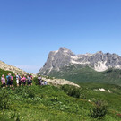 IMG_9310.JPG