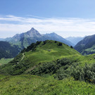 IMG_9311.JPG