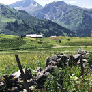 IMG_9316.JPG