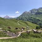 IMG_9334.JPG