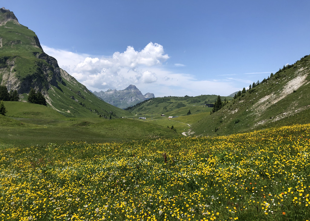 IMG_9335.JPG