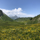IMG_9335.JPG