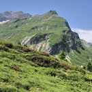 IMG_9336.JPG