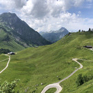 IMG_9339.JPG