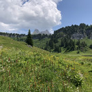 IMG_9343.JPG