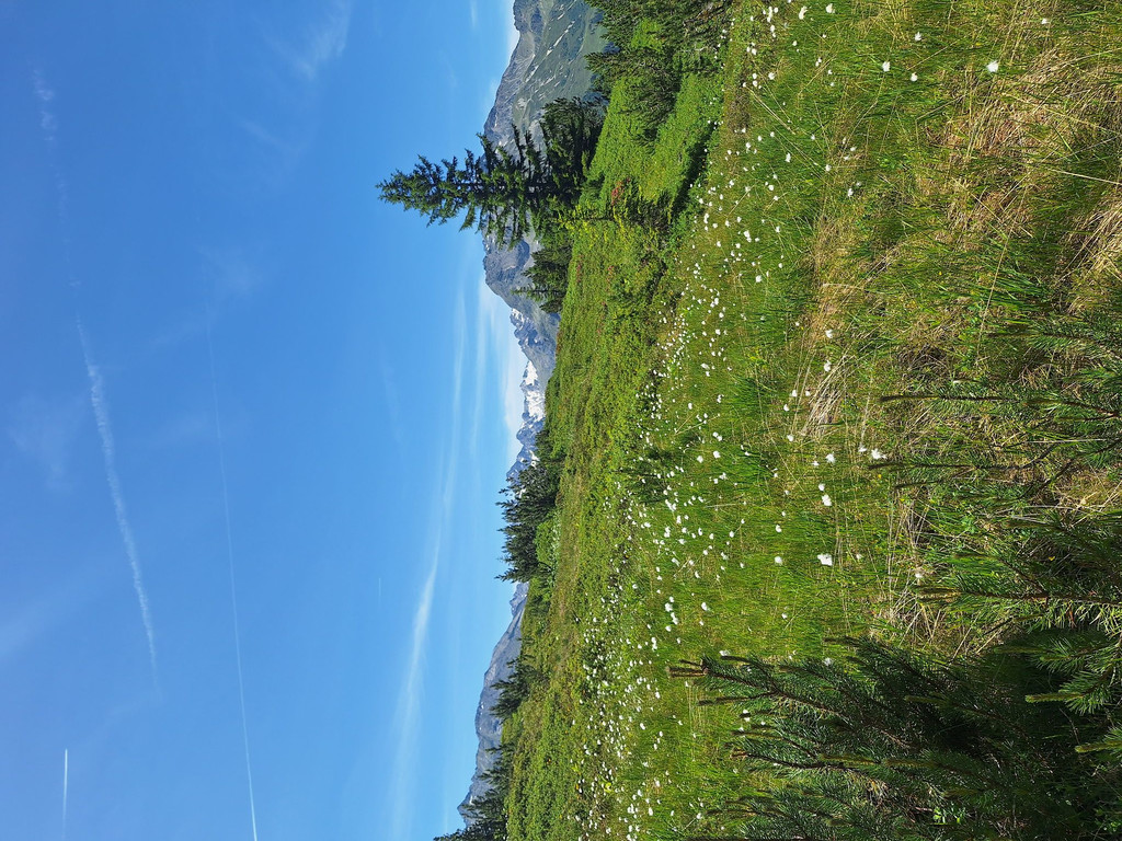 03_ Wiegensee.jpg
