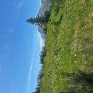 03_ Wiegensee.jpg