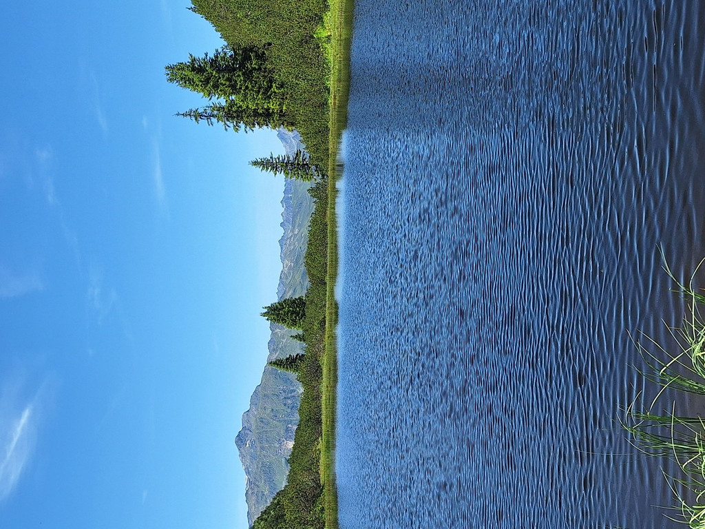 11_ Wiegensee.jpg