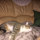 IMG-20180508-WA0046.JPG