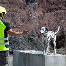 Transbeton-BSL-Tag-der-Begegnung-Rettungshund-61.jpg