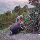 2025_06_21_NF Sonnwend 5.jpg