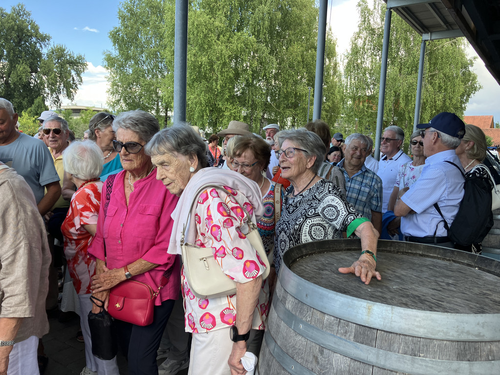 20250702_145738944_iOS - Kopie.jpg