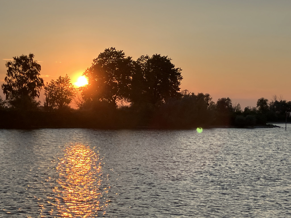 20250702_185856408_iOS 1.jpg