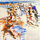 Pra__sentation Biografie Payr 1.jpg