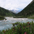IMG_2039.JPG