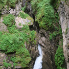 IMG_2101.JPG