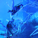 DSCN2099.JPG