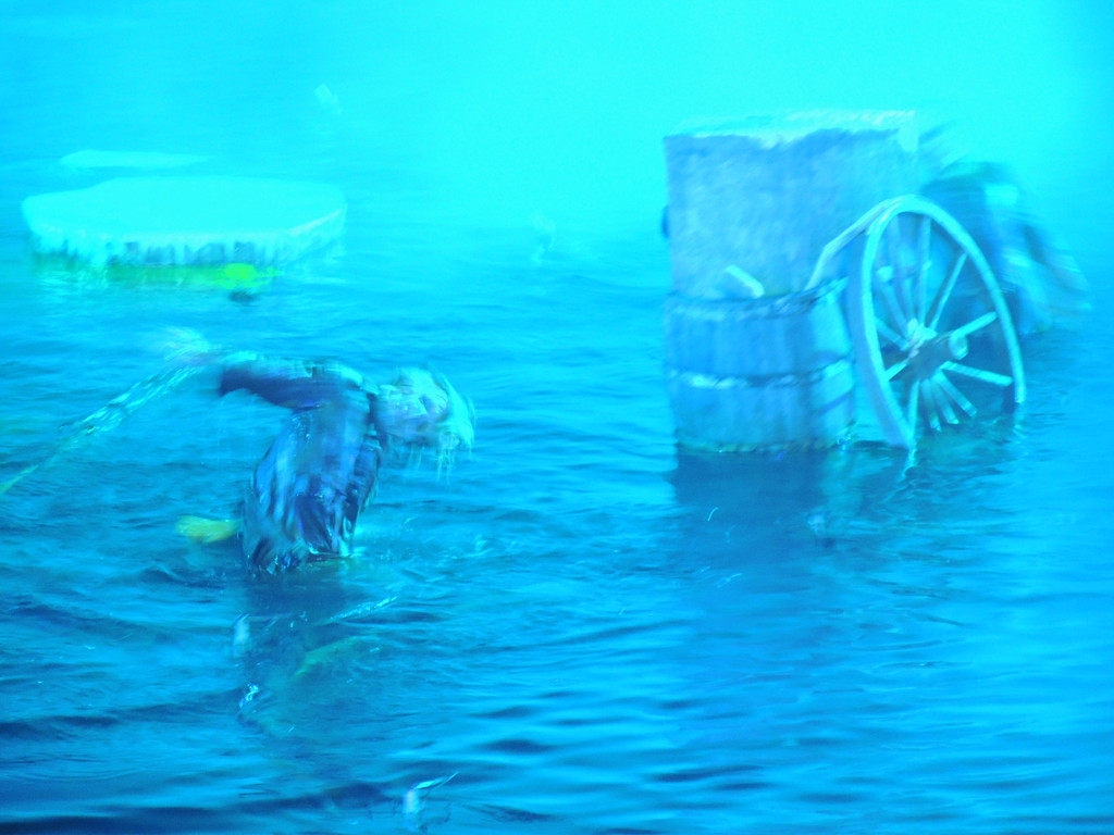 DSCN2074.JPG