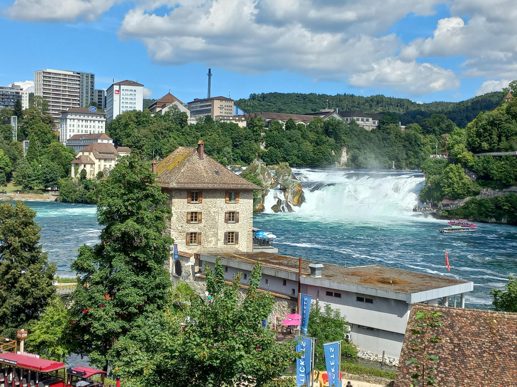 20250717_160320.jpg