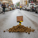 Demonstration der Identitären Bewegung in der Wiener Innenstadt am 26.07.2025