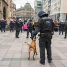 Vienna_at _63 von 91_.JPG