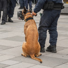 Vienna_at _64 von 91_.JPG