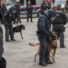 Vienna_at _67 von 91_.JPG