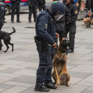 Vienna_at _68 von 91_.JPG