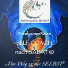 SelfCoach1.jpg