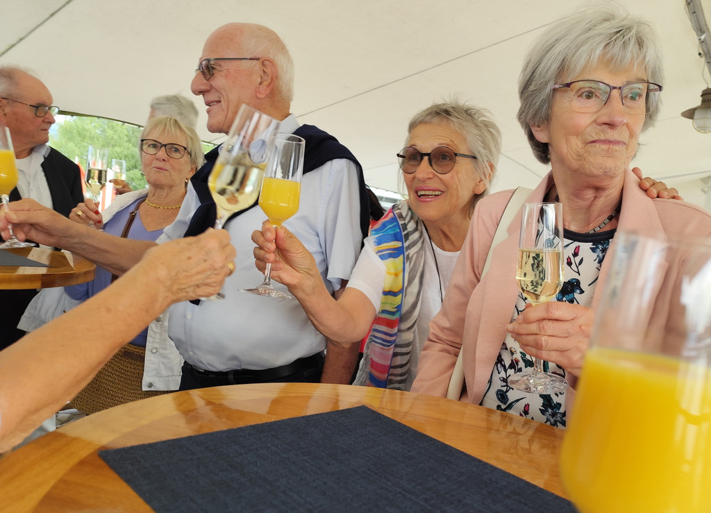 MS __sterreich 2.jpg