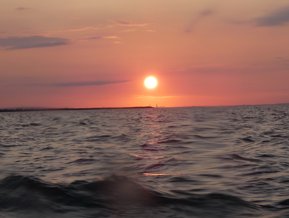 MS __sterreich 8888.jpg