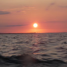 MS __sterreich 8888.jpg