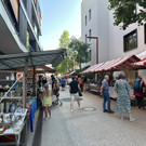 IMG_7813.jpeg