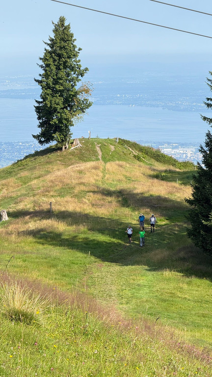 20250807_163230000_iOS - Kopie.jpg