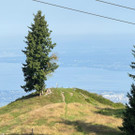 20250807_163230000_iOS - Kopie.jpg