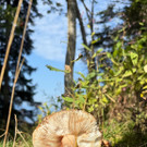 20250807_163231000_iOS - Kopie.jpg