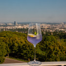 Vienna_at _17 von 83_.JPG