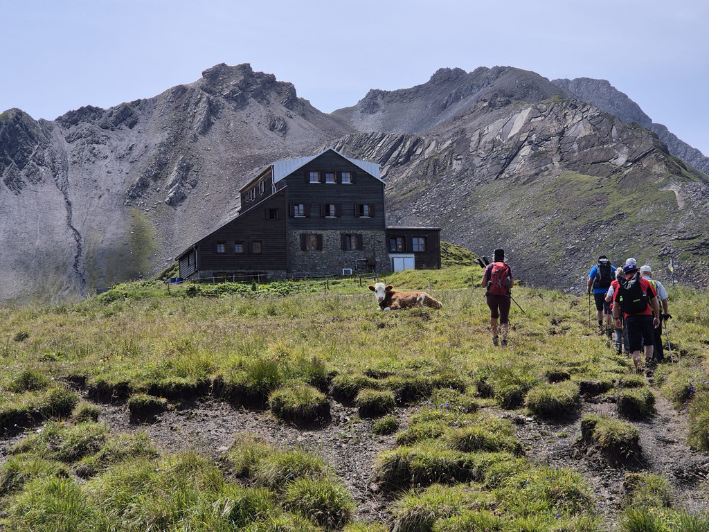 3102 WhatsApp Bild 2025-08-06 Brigitte um 20_42_36_34ae4866.jpg