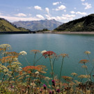 4101 WhatsApp Bild 2025-08-07 Ingrid um 22_24_38_f698060a.jpg